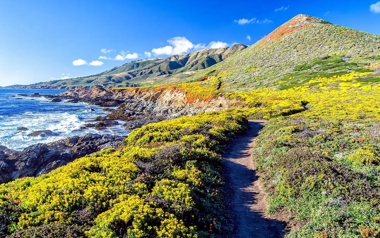 智慧全自动稳定性